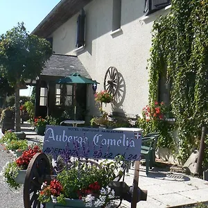 hotel-auberge-camelia.hotels-rhonealpes.com/